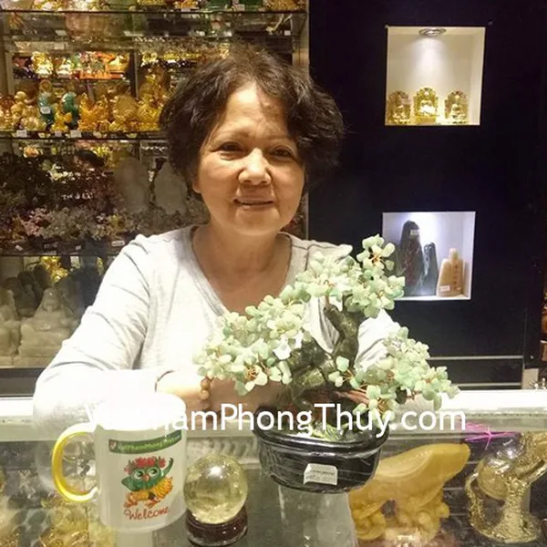 Cô Nhung - khách hàng mua cây tài lộc đông linh KC087, ngọc bội quan âm S6419, chuỗi thạch anh tóc đỏ S6371-1664 và quả cầu thạch anh vàng GM150-3613