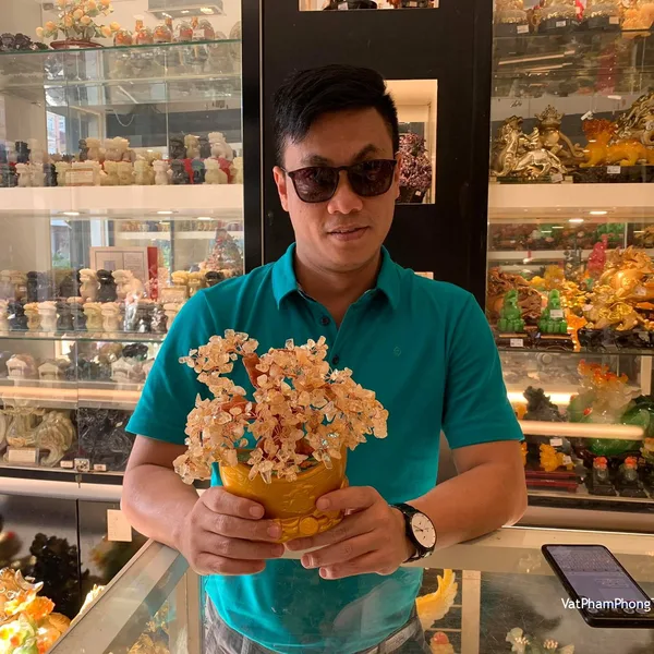 Anh Toàn - Khách hàng mua Cây thạch anh vàng gốc cổ thụ  KC106.