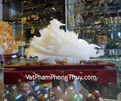 Cải phát tài bạch ngọc lớn M161