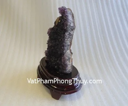 Gà hoàng long 4 tấc FGM107