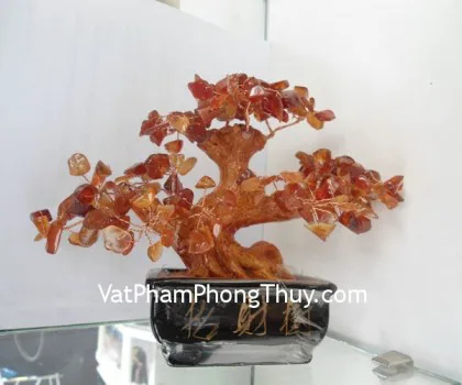 Cây đá mã não đỏ, chậu vuông nhỏ FCA216