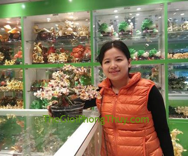 Chị Hà - Khách mua Cây tài lộc gốc đẹo nhiều màu ( trung ) FKC077