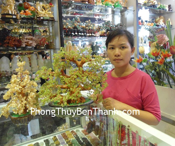 Chị Thúy Anh - khách hàng mua Cây Cẩm Lãm CA241 và cây thạch anh vàng CA119