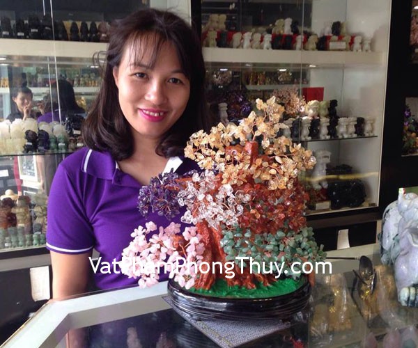 Chị Yến - khách hàng mua cây tài lộc ngũ hành KC030