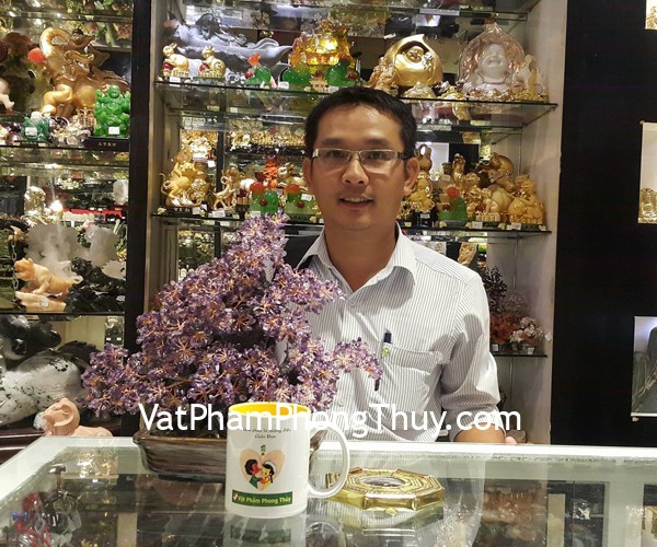 Anh Nhân - khách hàng mua cây tài lộc thạch anh tím KC070 và bát quái lồi K1206
