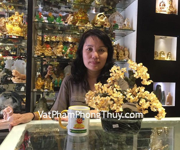 Chị Yến Nhi-khách hàng mua cây tài lộc gốc đẹp thạch anh vàng KC076